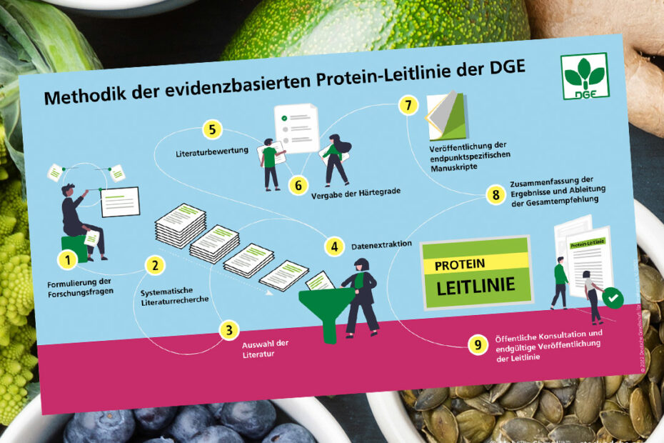 Protein-Leitlinie